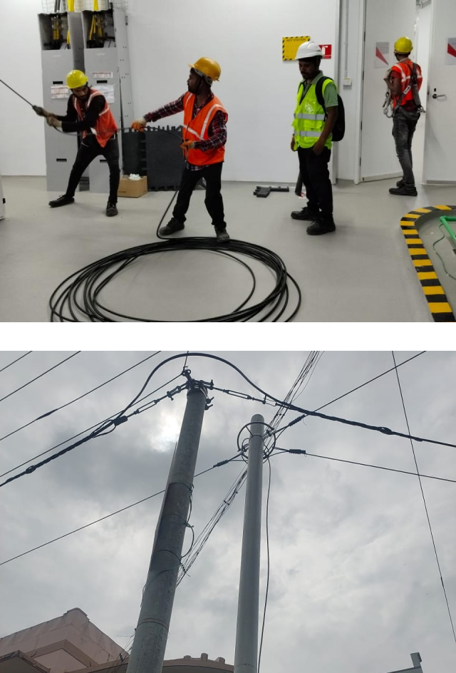 Fiber